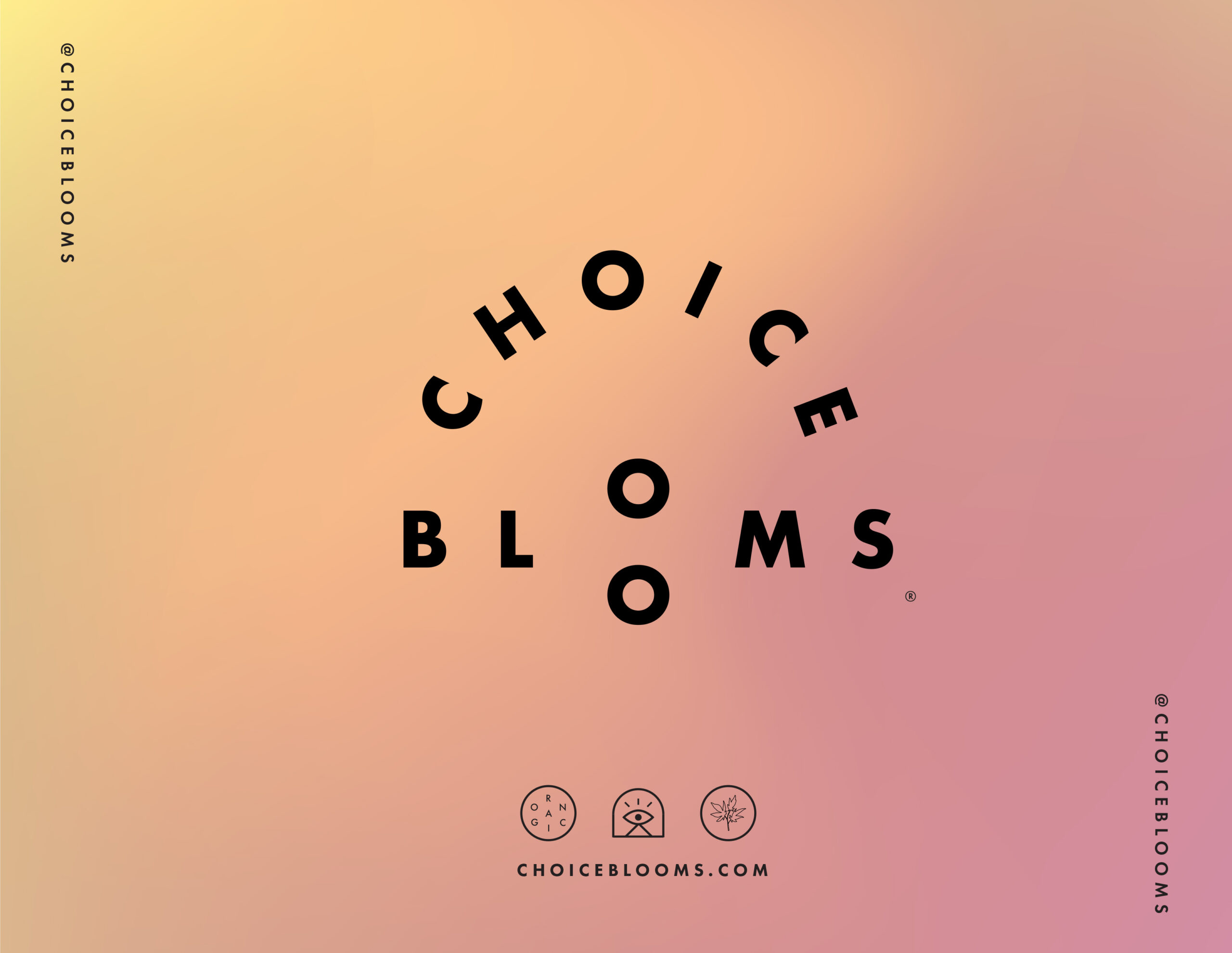 Choice Blooms